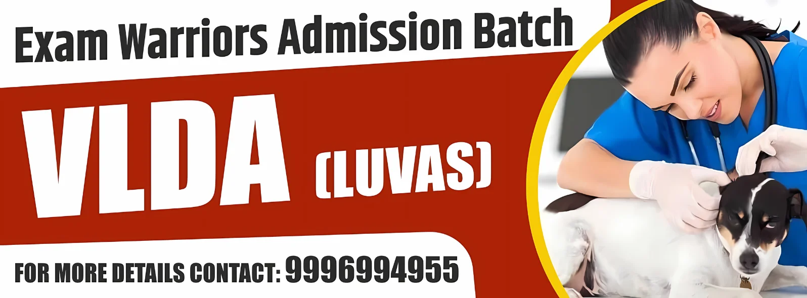 VLDA LUVAS banner image